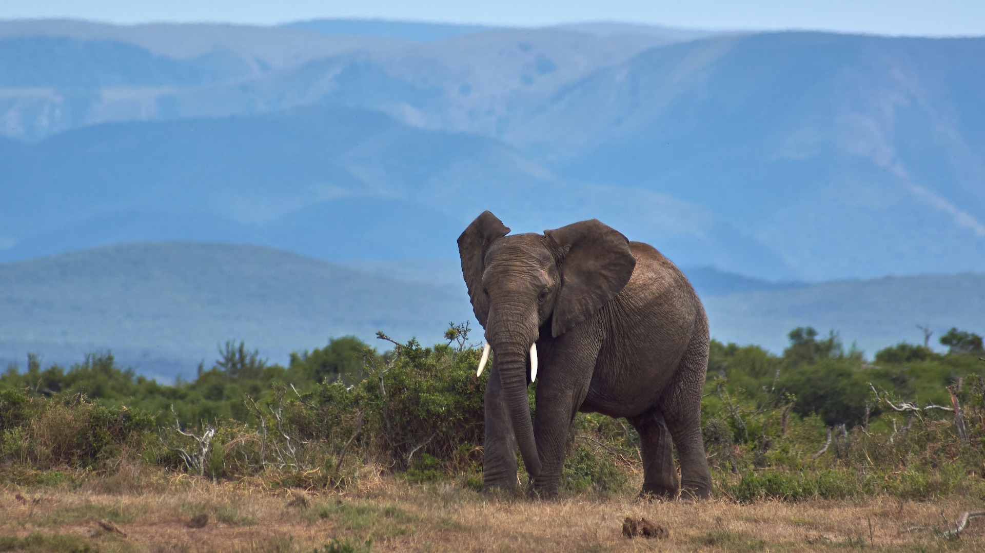 Teaching Light in Kenya: Field-Proven Camera Settings for Safari