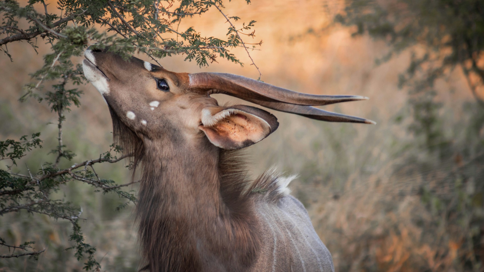 How Thoughtful Guests Elevate Their South African Lodge Experience
