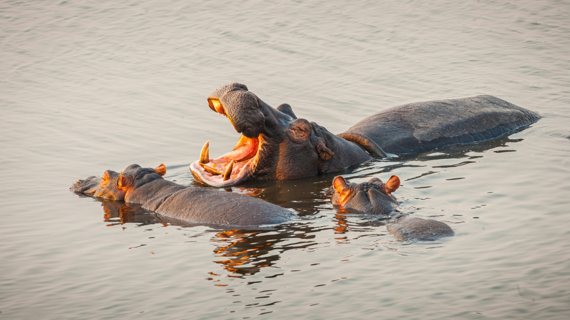 Practical Steps for Travelers to Honor Local Customs While Protecting African Ecosystems