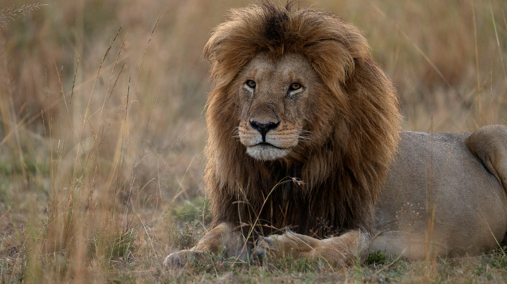 Stretch Every Dollar Across Africa: Backpacker Strategies That Actually Work