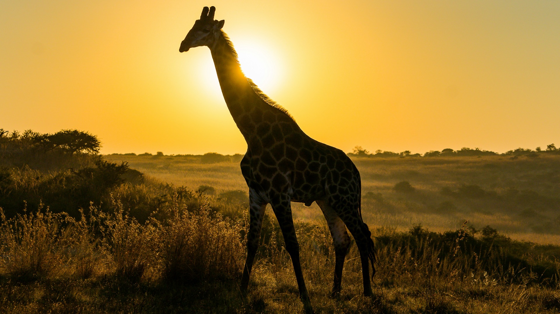 Inside the Zero-Waste Systems Transforming Luxury Safari Lodges