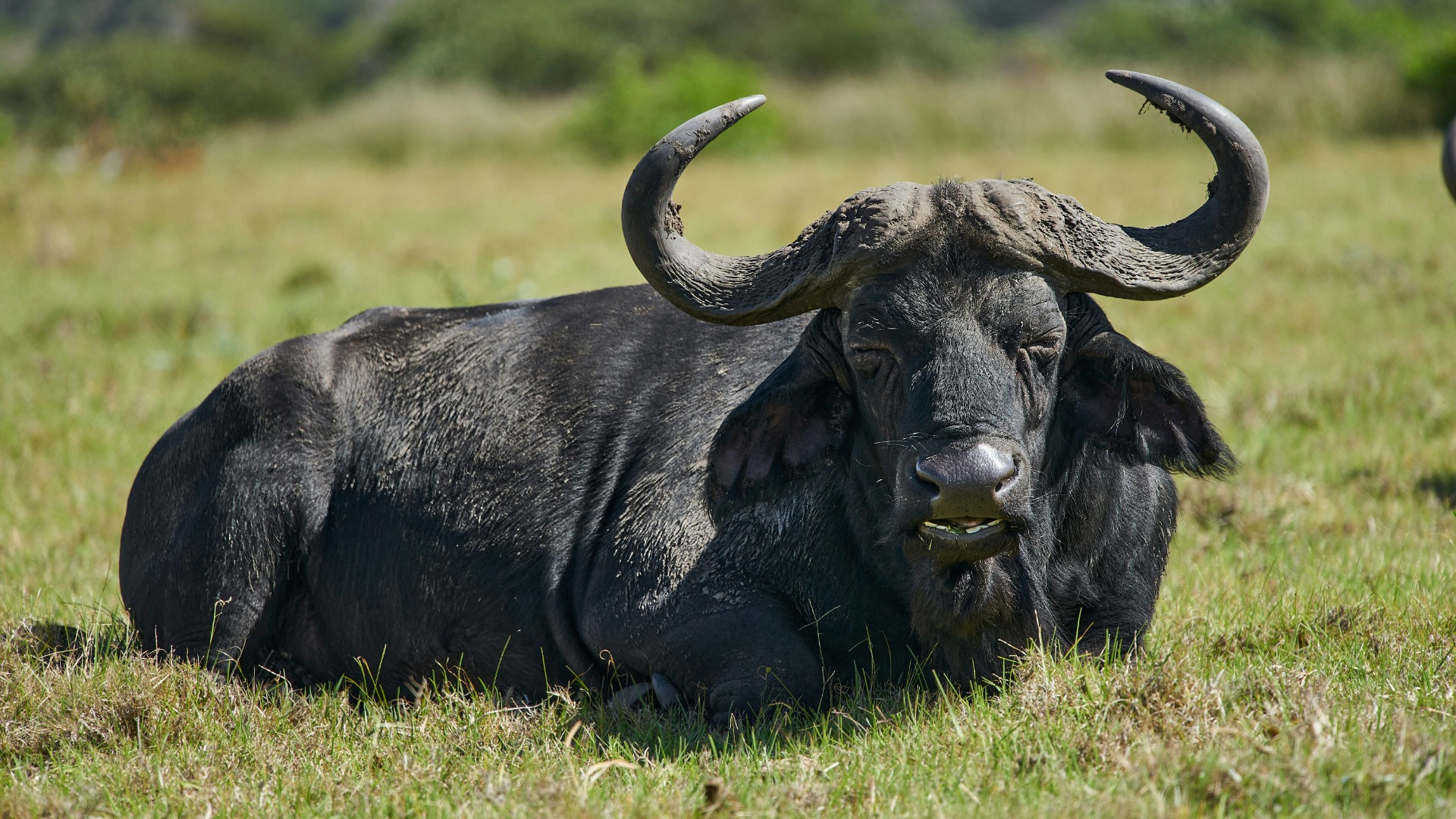 How Zimbabwe's All-Female Anti-Poaching Unit Secures the Akashinga Reserve