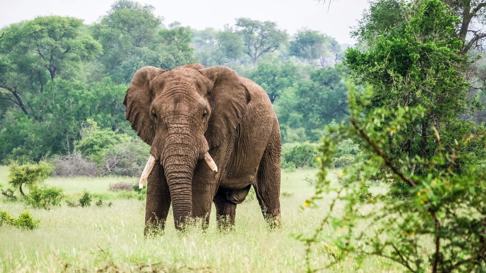 How Women Can Travel Solo Across Africa With Confidence and Ease