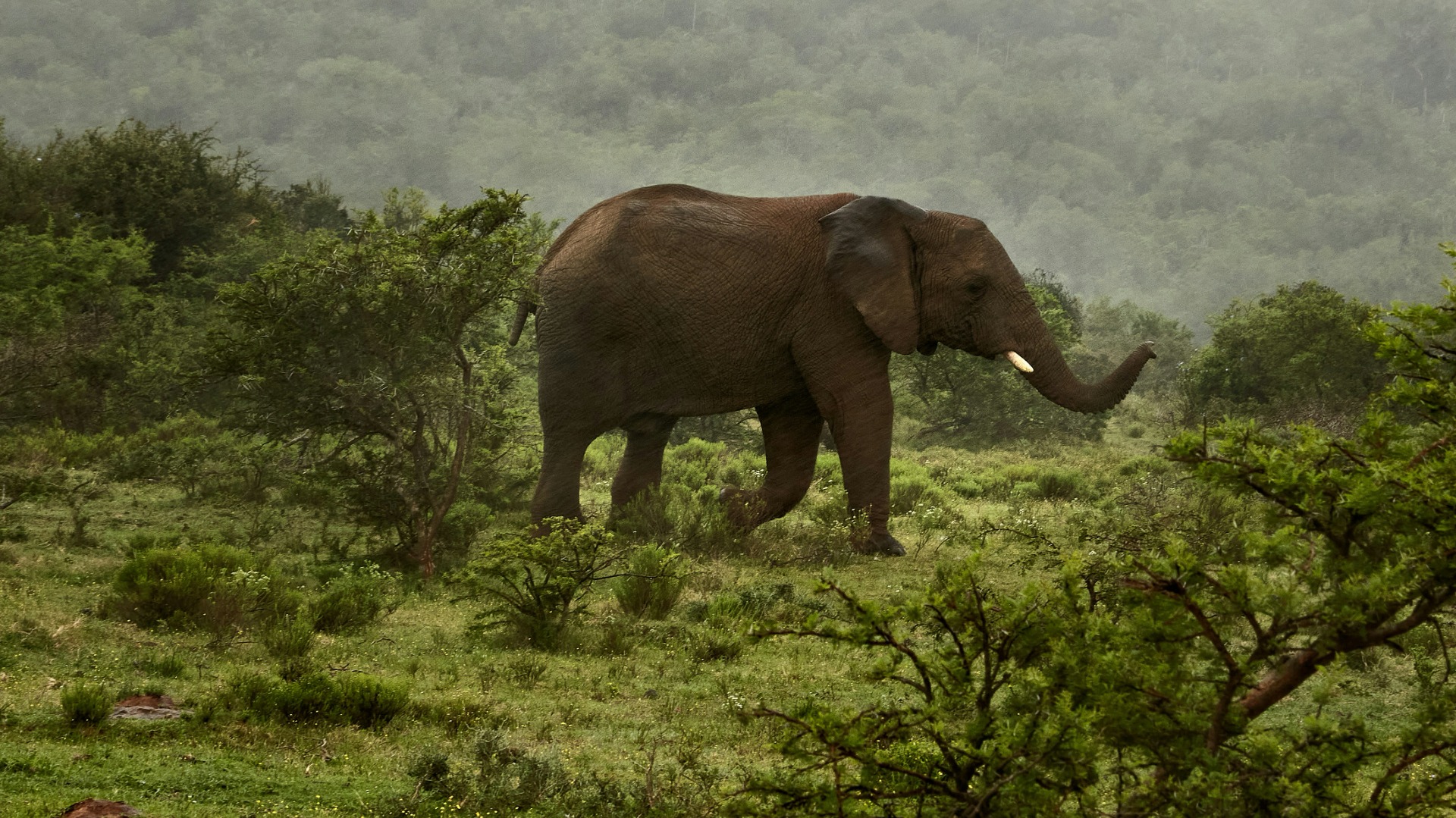 Africa's Visa Reforms Are Reshaping Cross-Border Journeys for Luxury Travelers