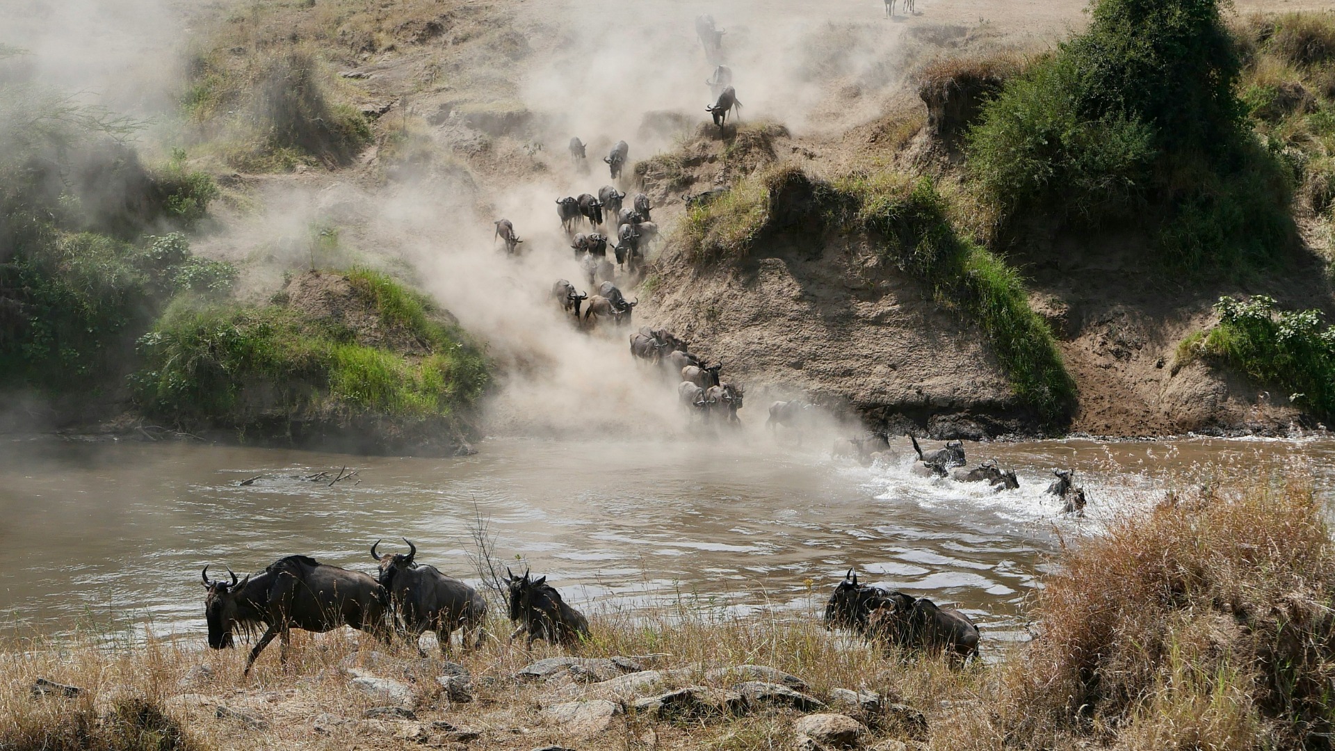Former Poachers Now Lead Anti-Poaching Patrols Across Kenya