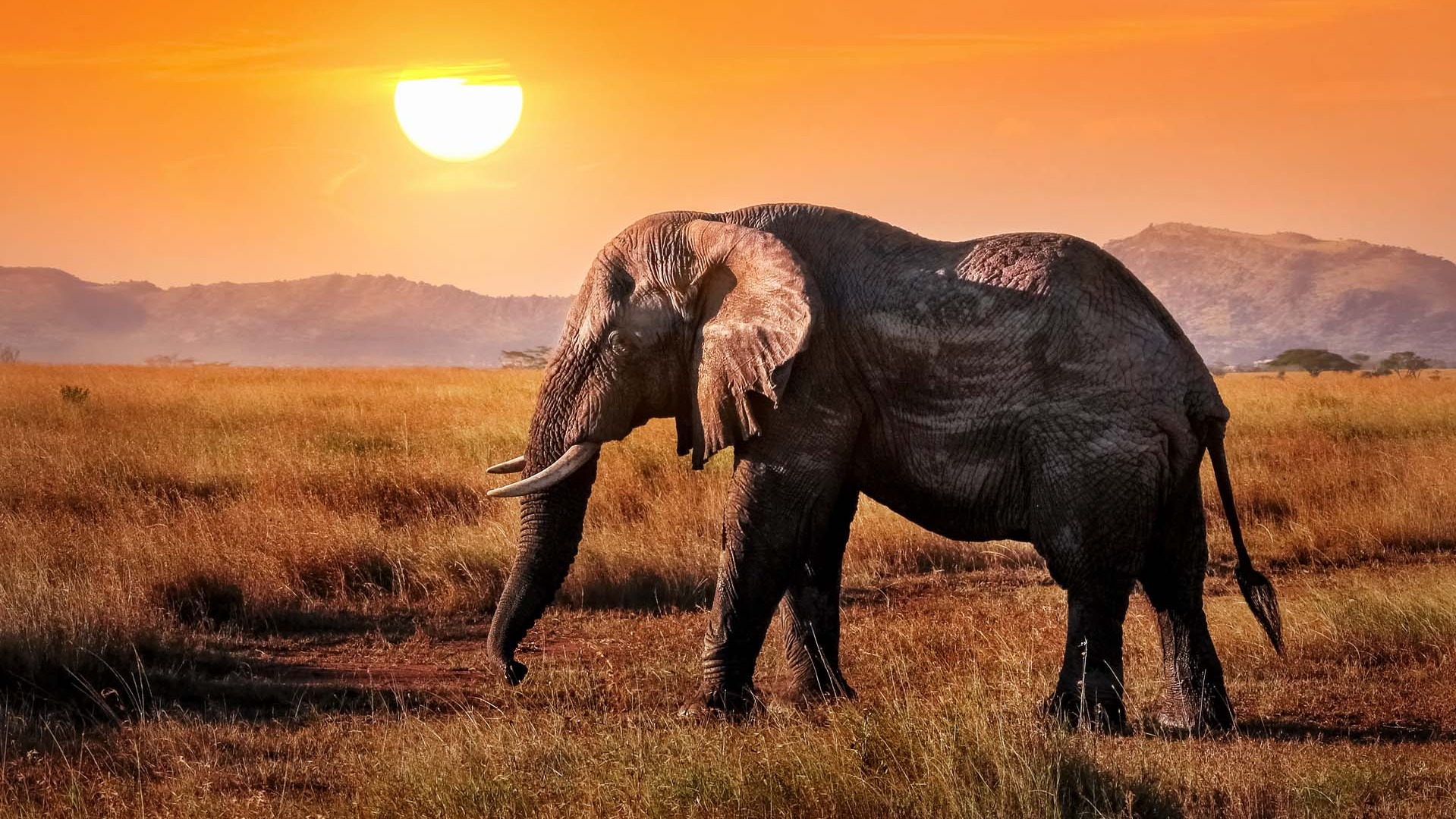 Planning a Three-Generation Safari That Works for Everyone
