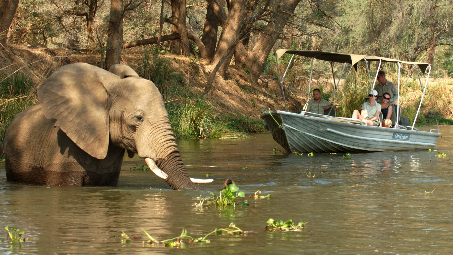 Canoeing the Lower Zambezi: How Water Shifts the Pace of a Luxury Safari