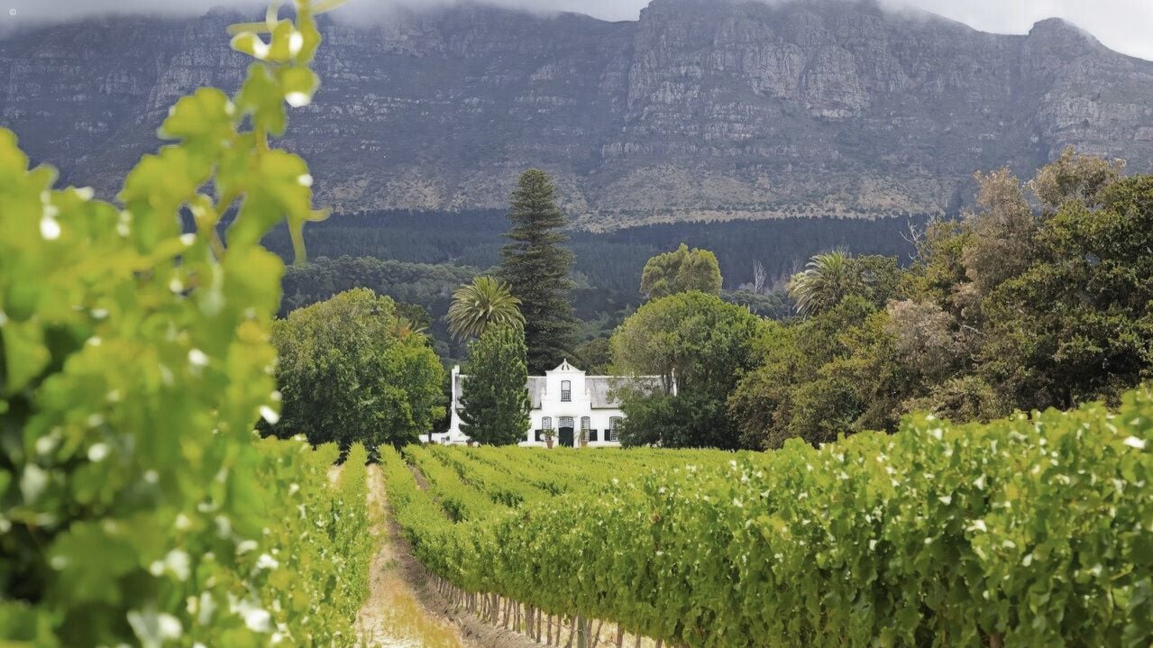 How Many Nights to Spend in the Cape Winelands, Hermanus and Garden Route After Safari