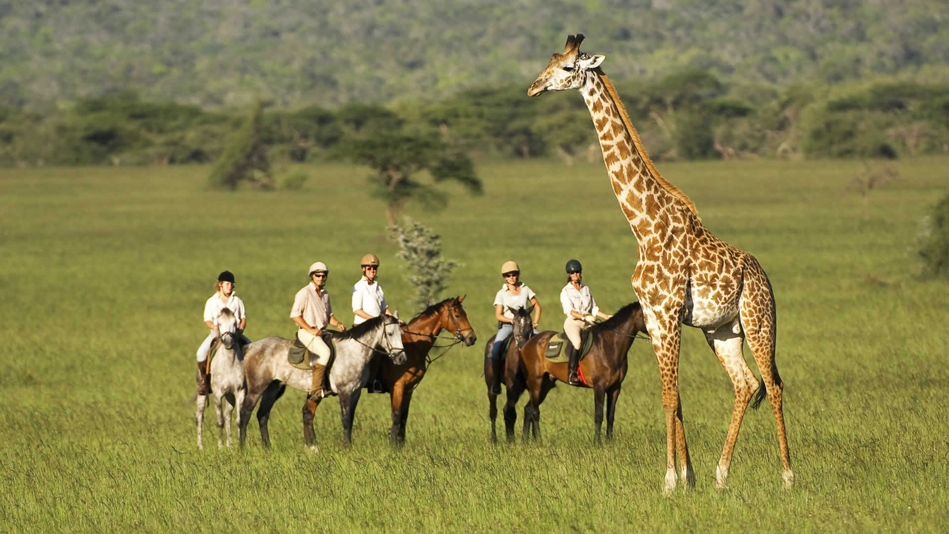 What Skill Level Is Needed for African Horseback Safaris