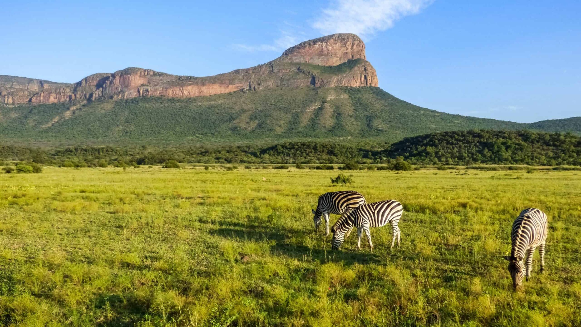 Why Malaria-Free Reserves in South Africa Appeal Most to Families with Young Children