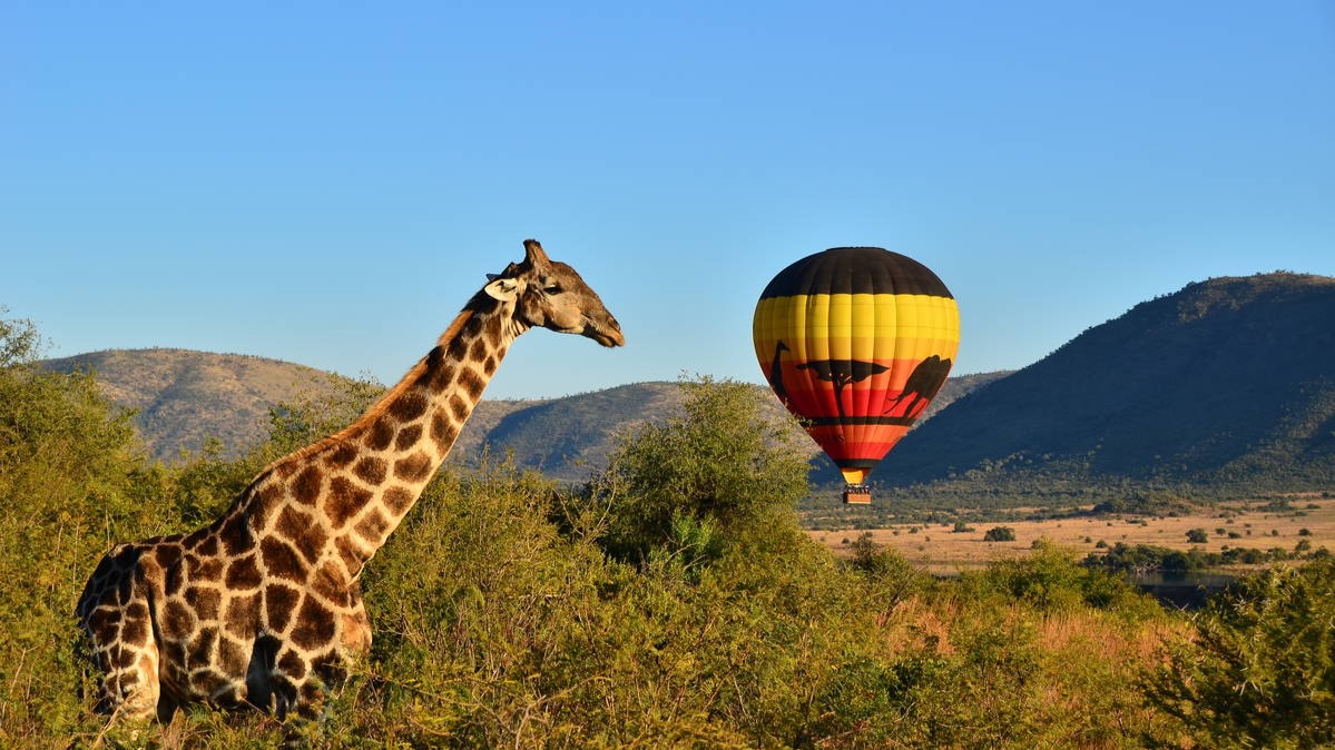 What to Expect on a Pre-Dawn Hot Air Balloon Safari Across African Plains
