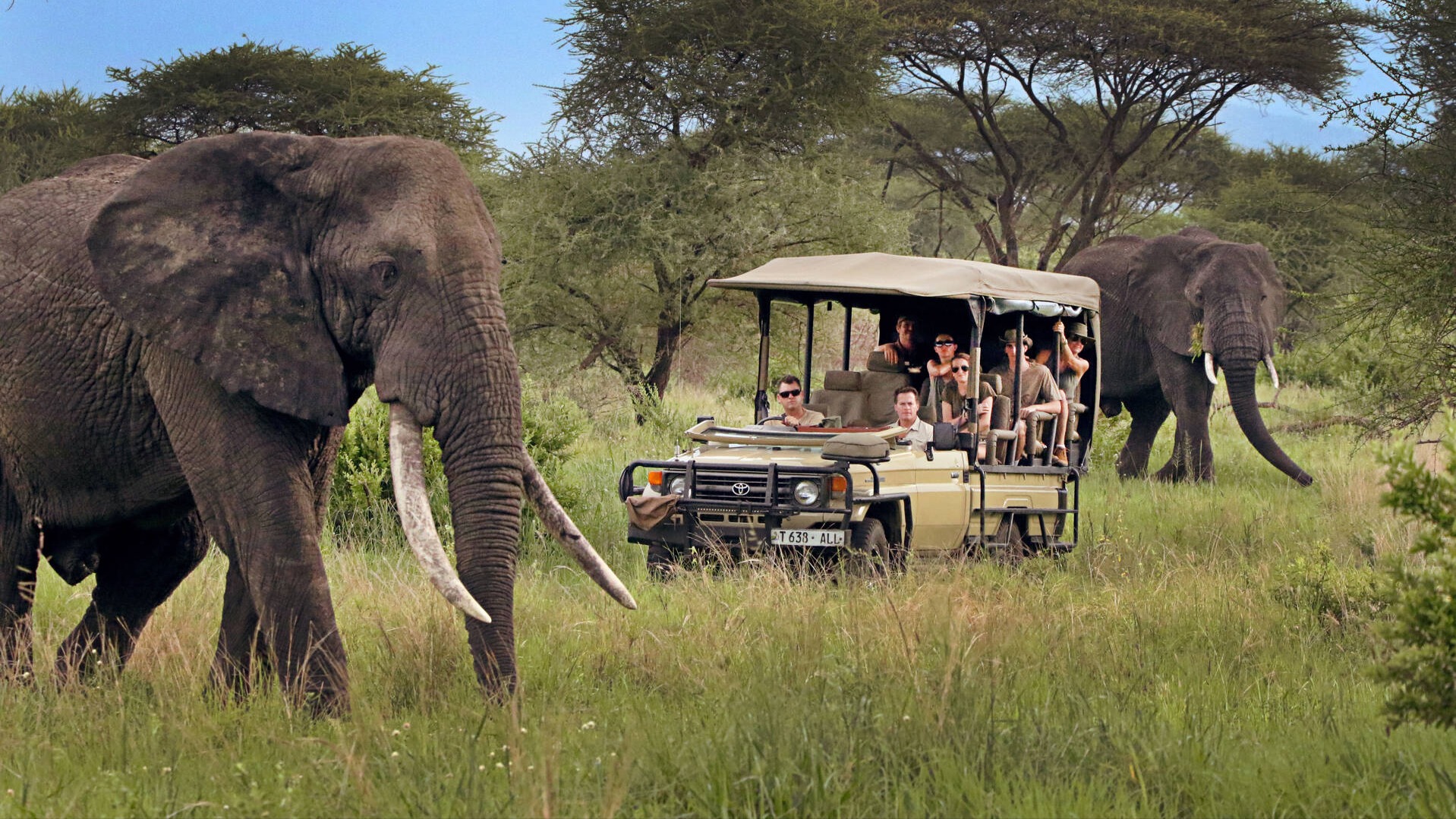 Month-by-Month: Where the Serengeti Migration Shifts Across Tanzania’s Plains, Corridor and River