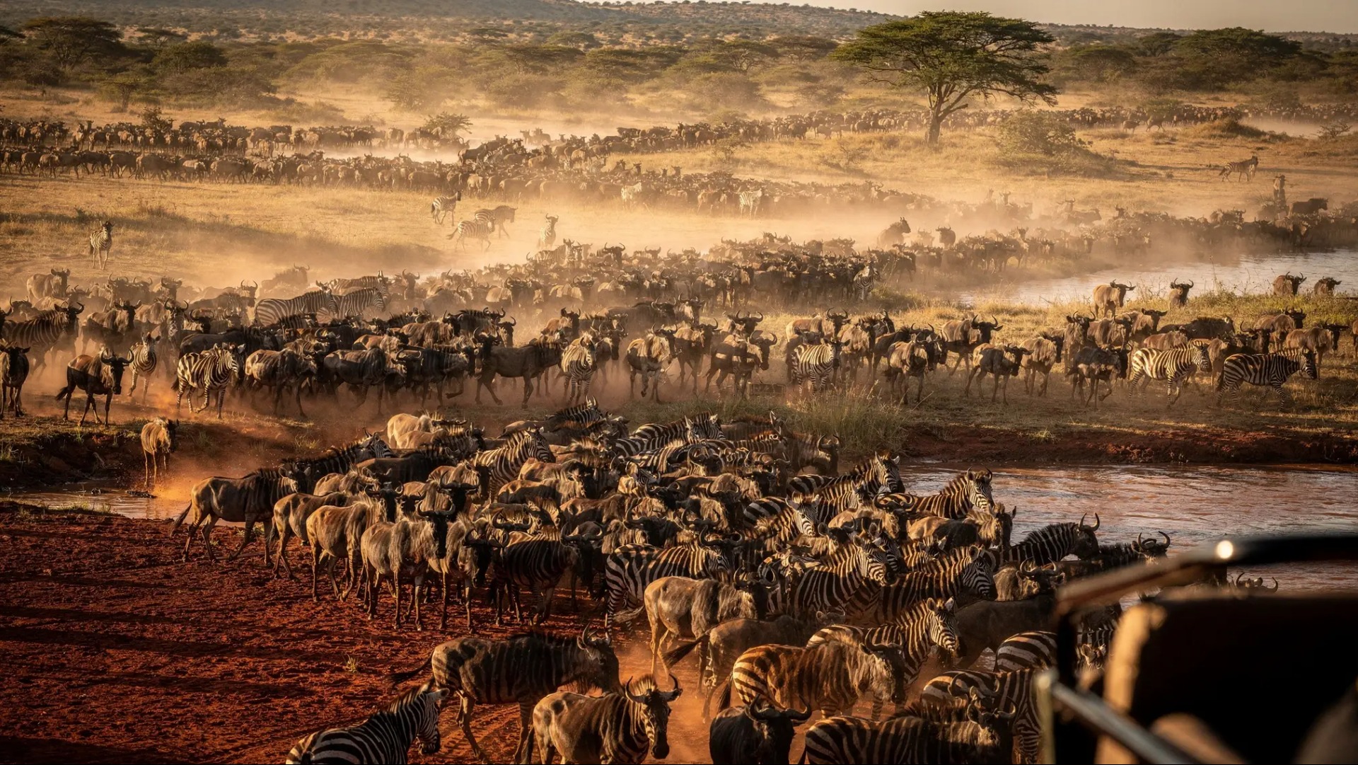 Kenya Private Conservancies or National Reserves: Which Delivers the Experience Repeat Visitors Seek