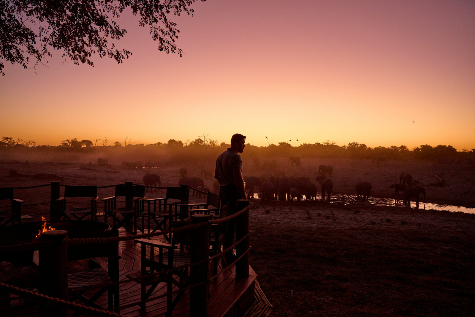 6-Day Chobe & Savuti Safari