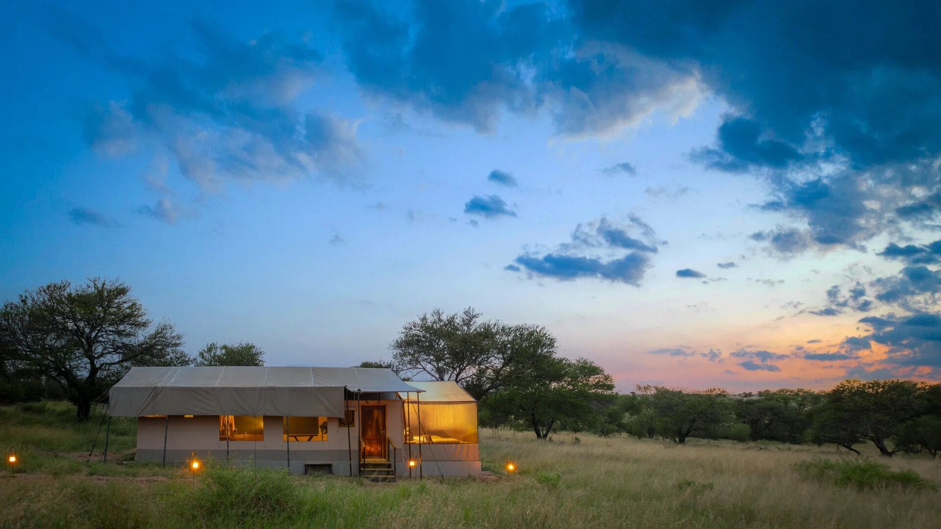 8-Day Calving Season Safari