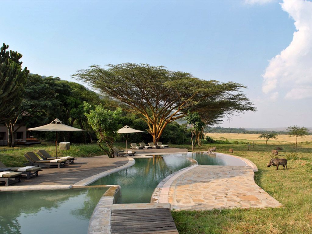 7-Day Mara & Lewa Safari