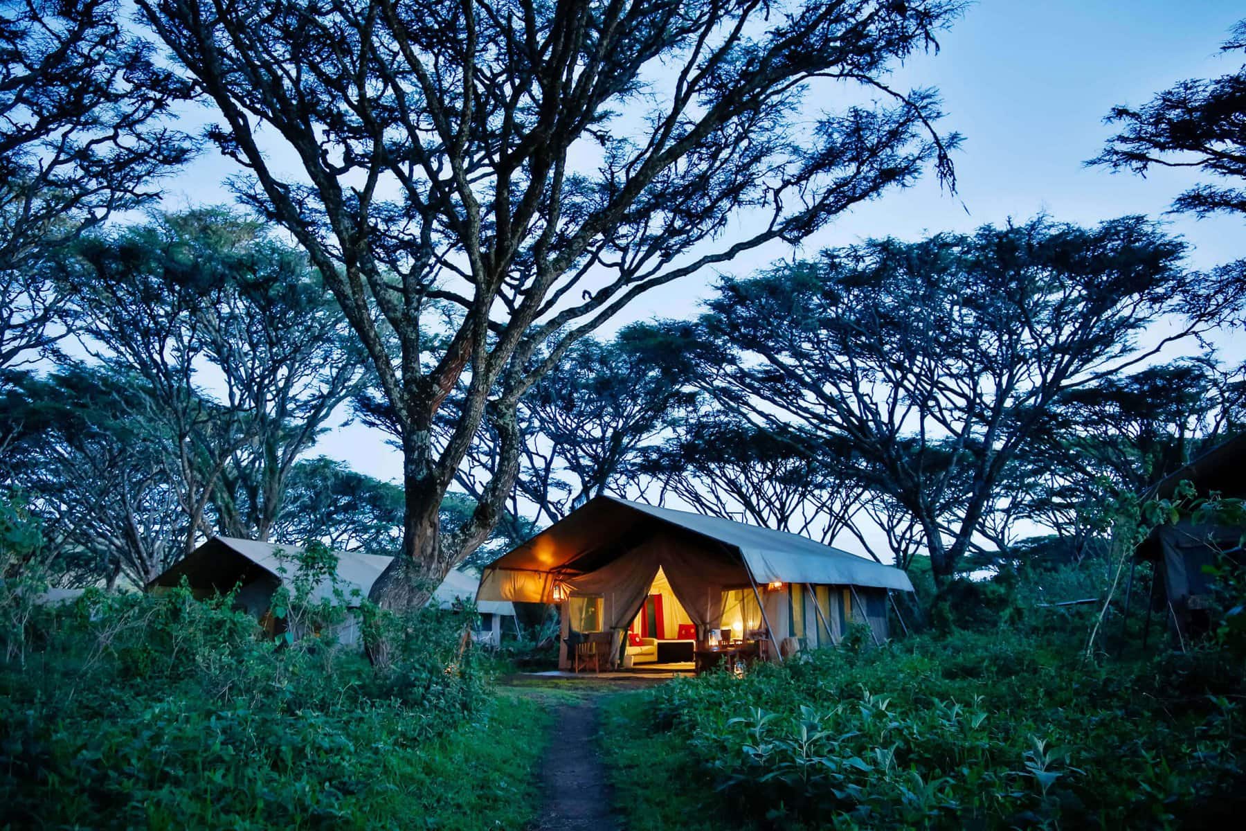 Lemala Ngorongoro