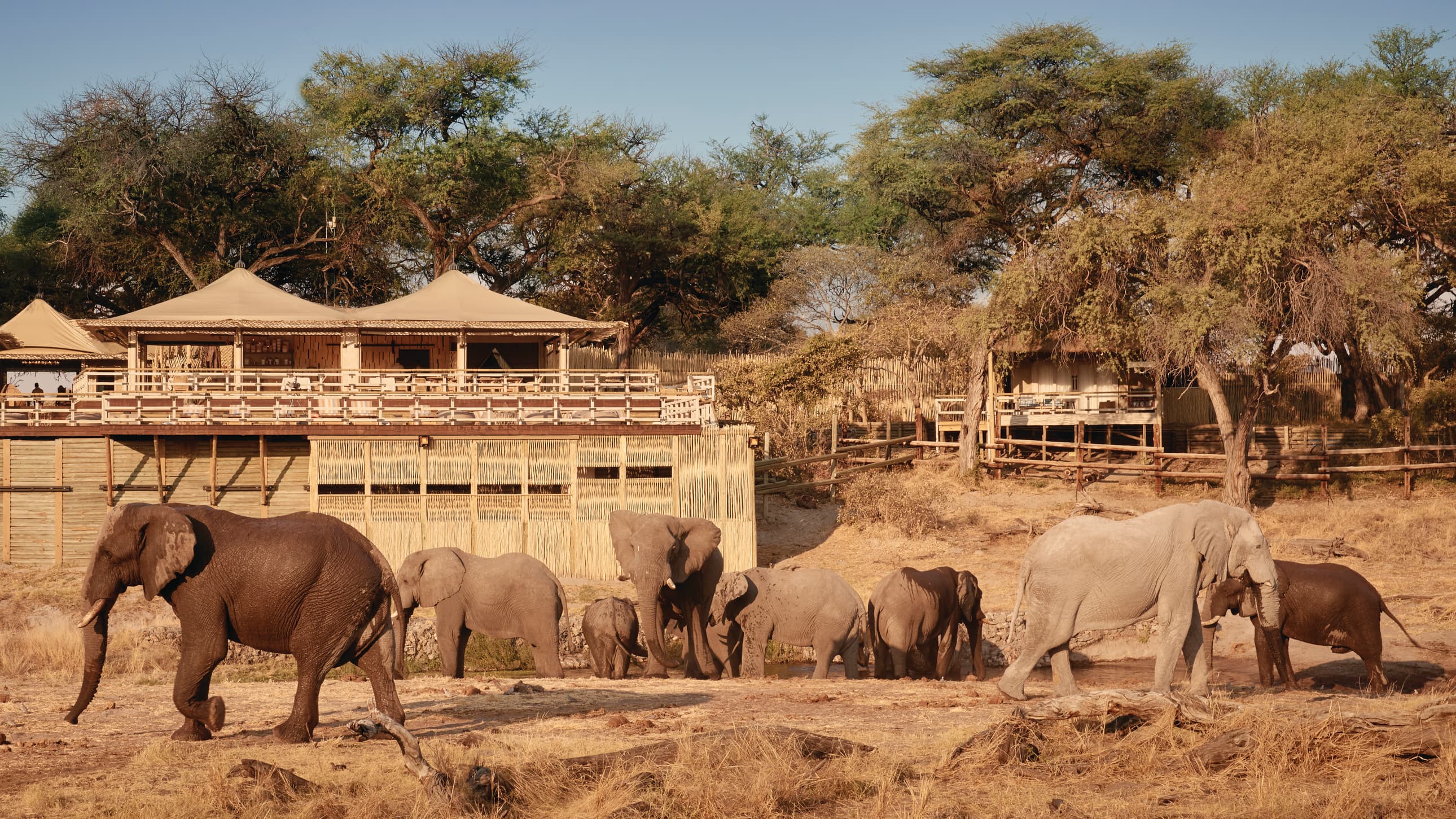 6-Day Savute Elephant & Chobe Safari
