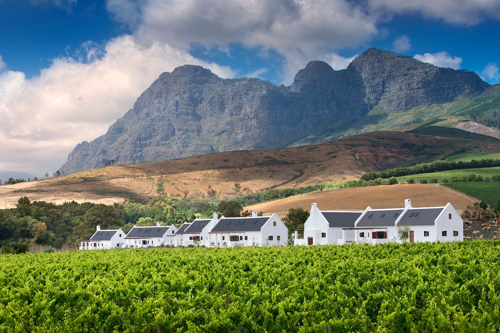 Cape Winelands