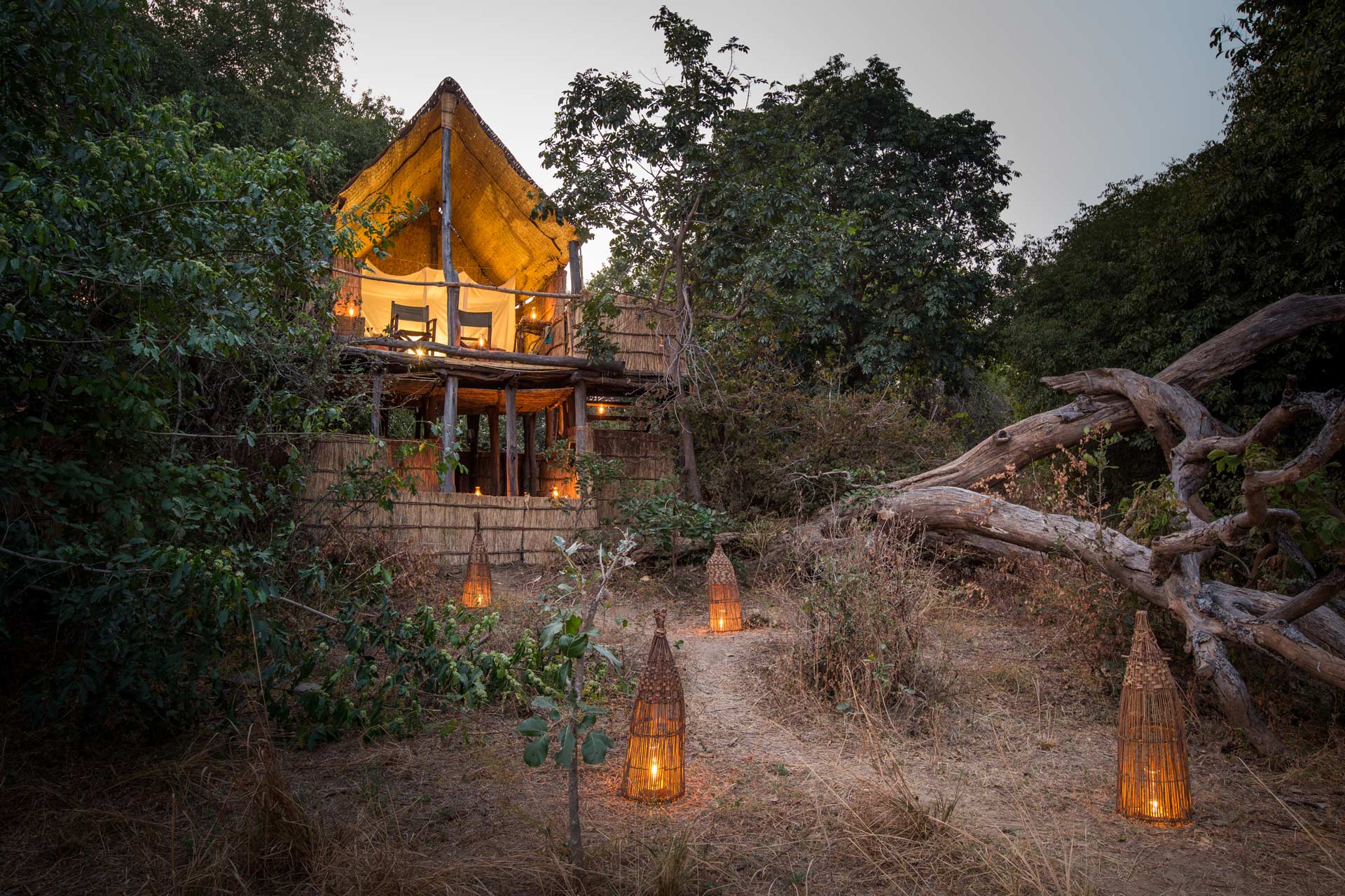 Chikoko Tree Camp