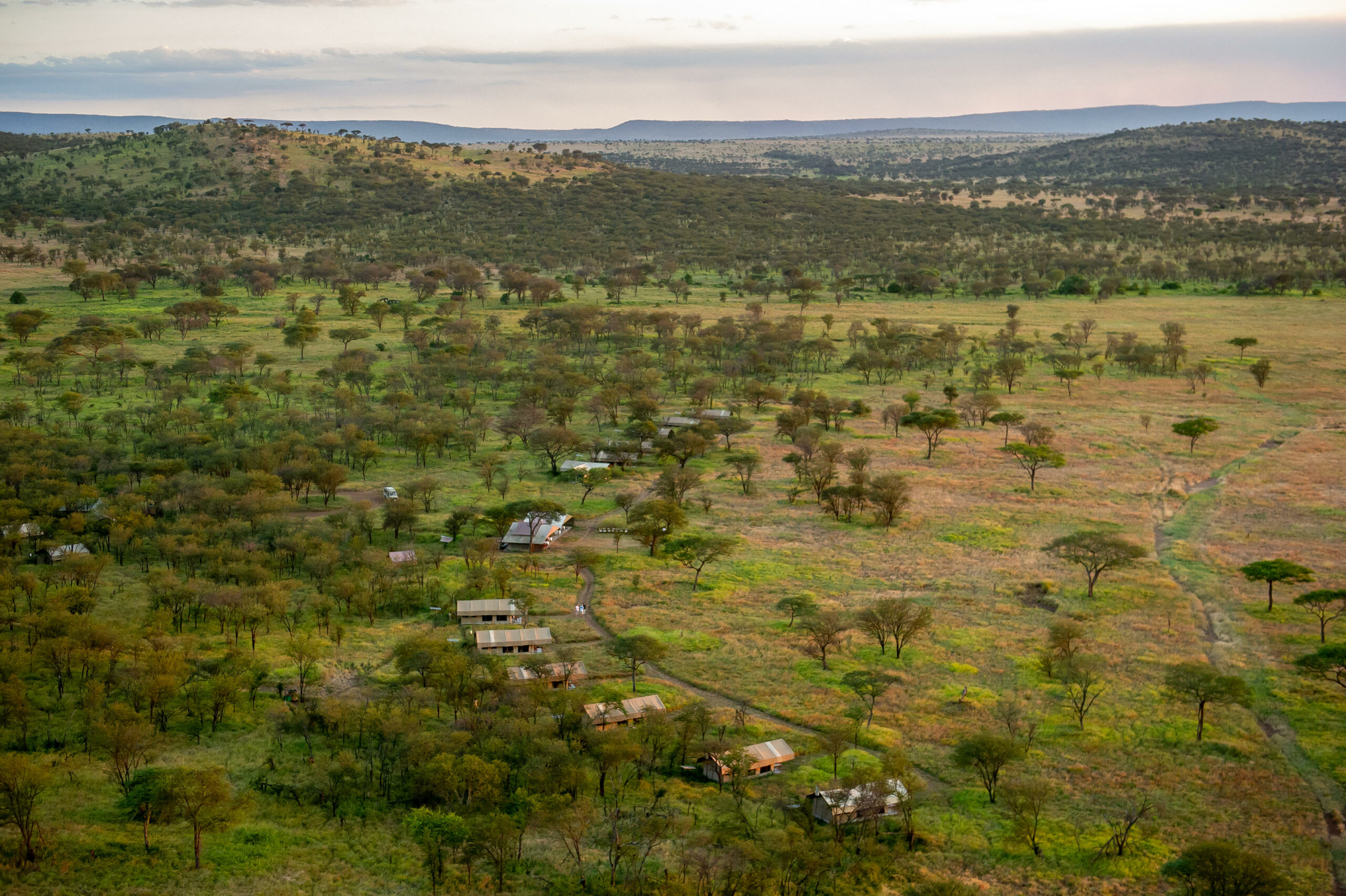 Serengeti Kati Kati