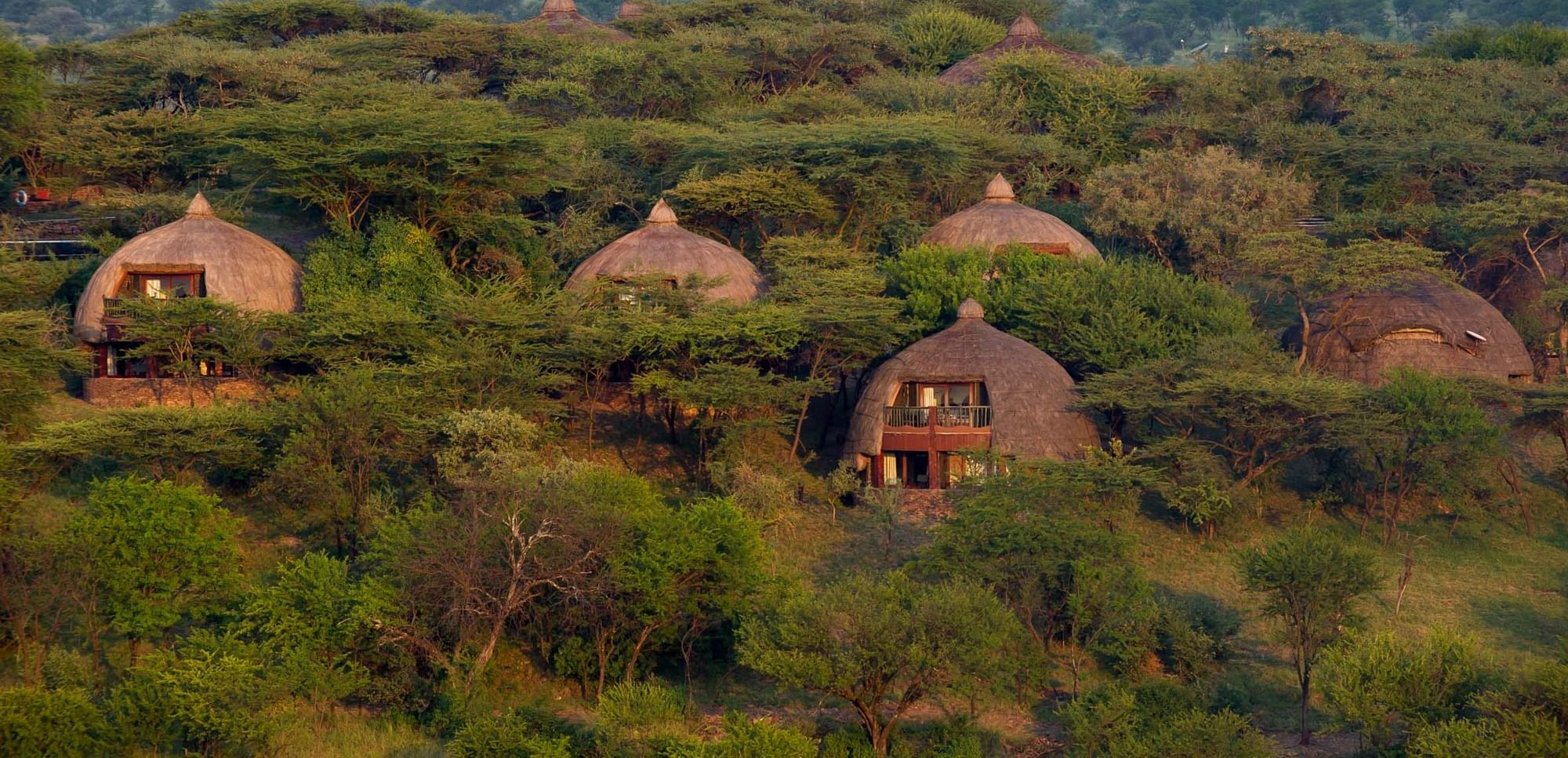 Serengeti Serena Safari Lodge