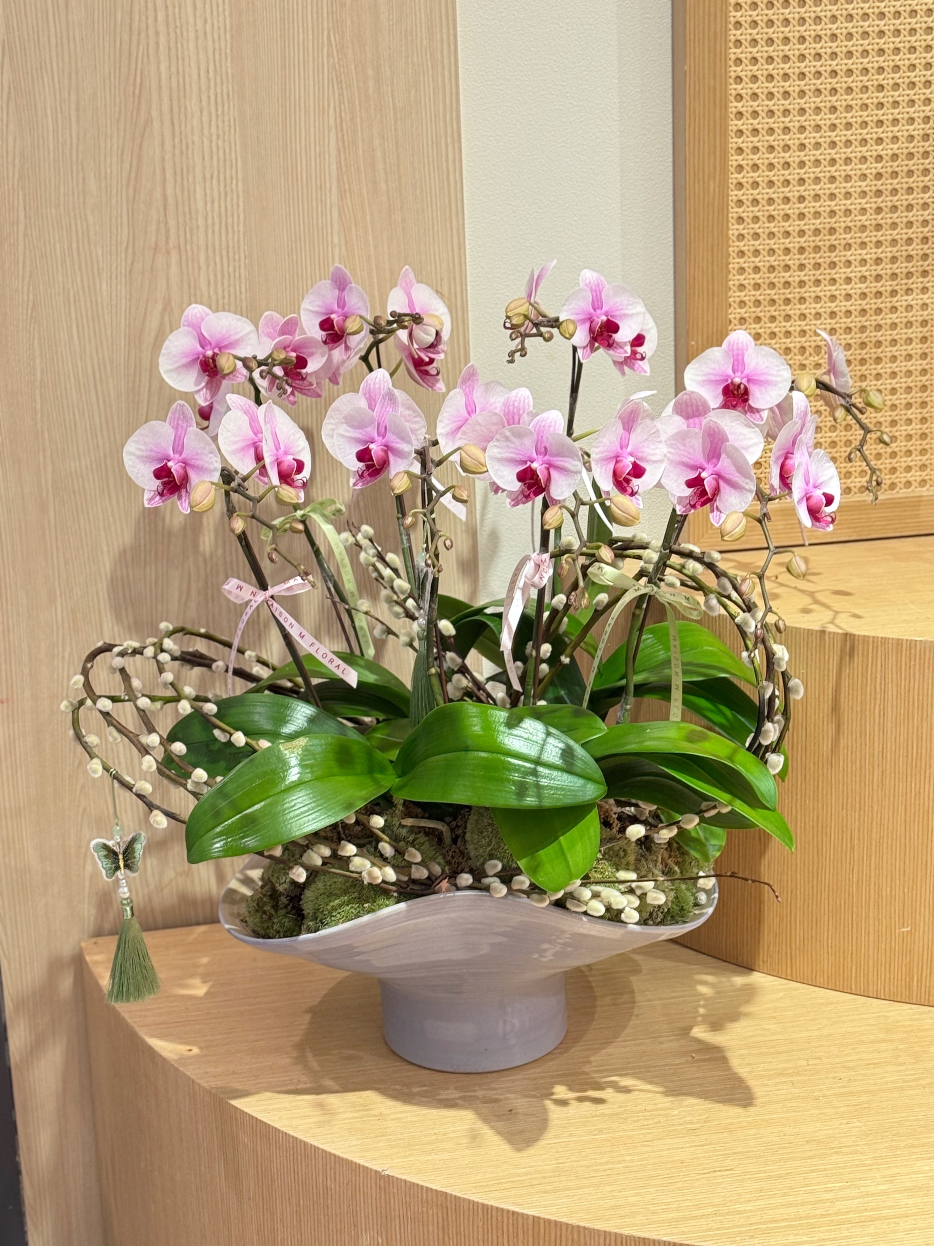 Potted Plants & Orchids