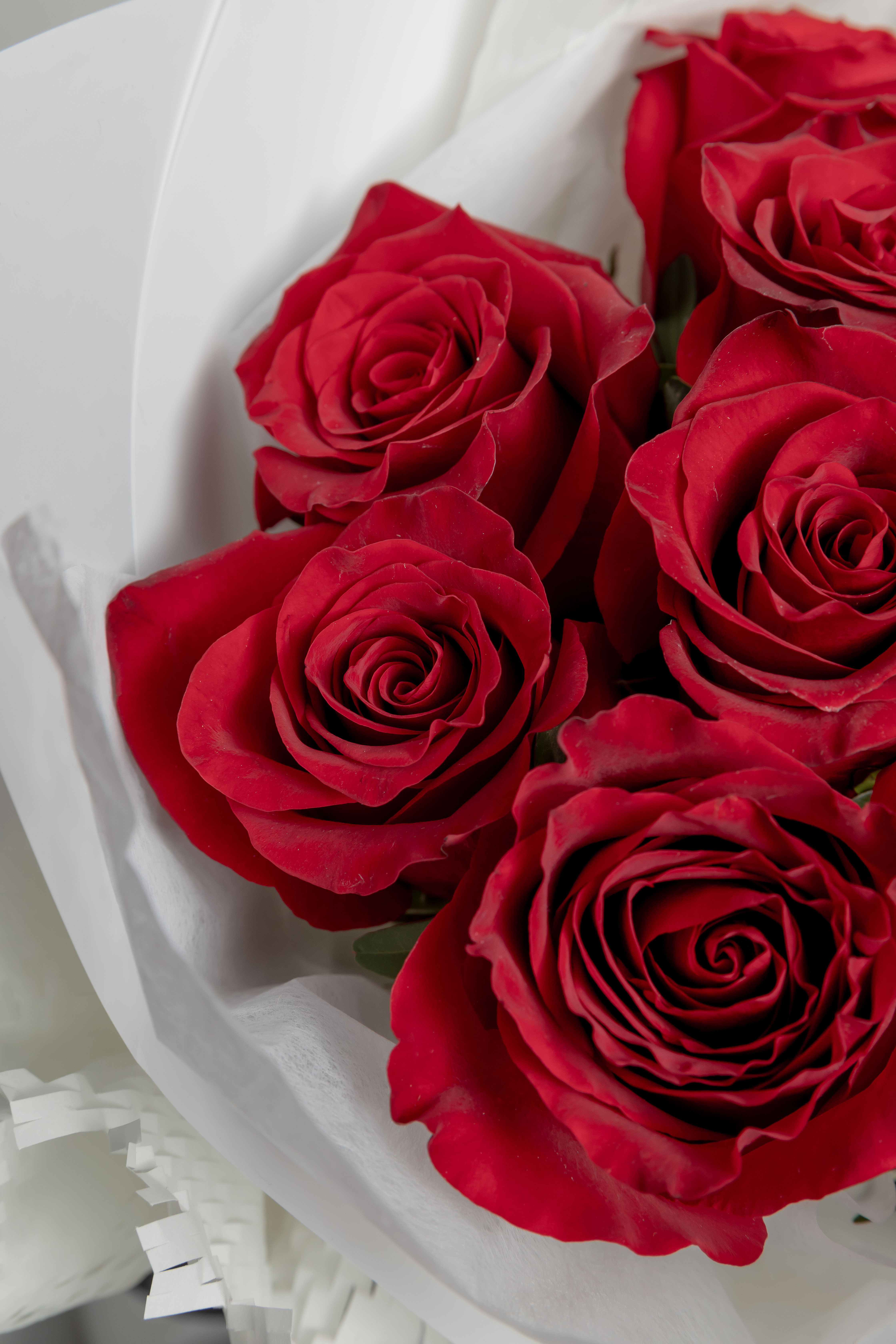 Roses Only