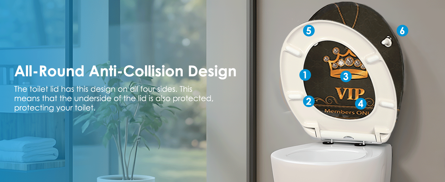 WC-Sitz mit Schnellverschluss von oben mit Klickmechanismus