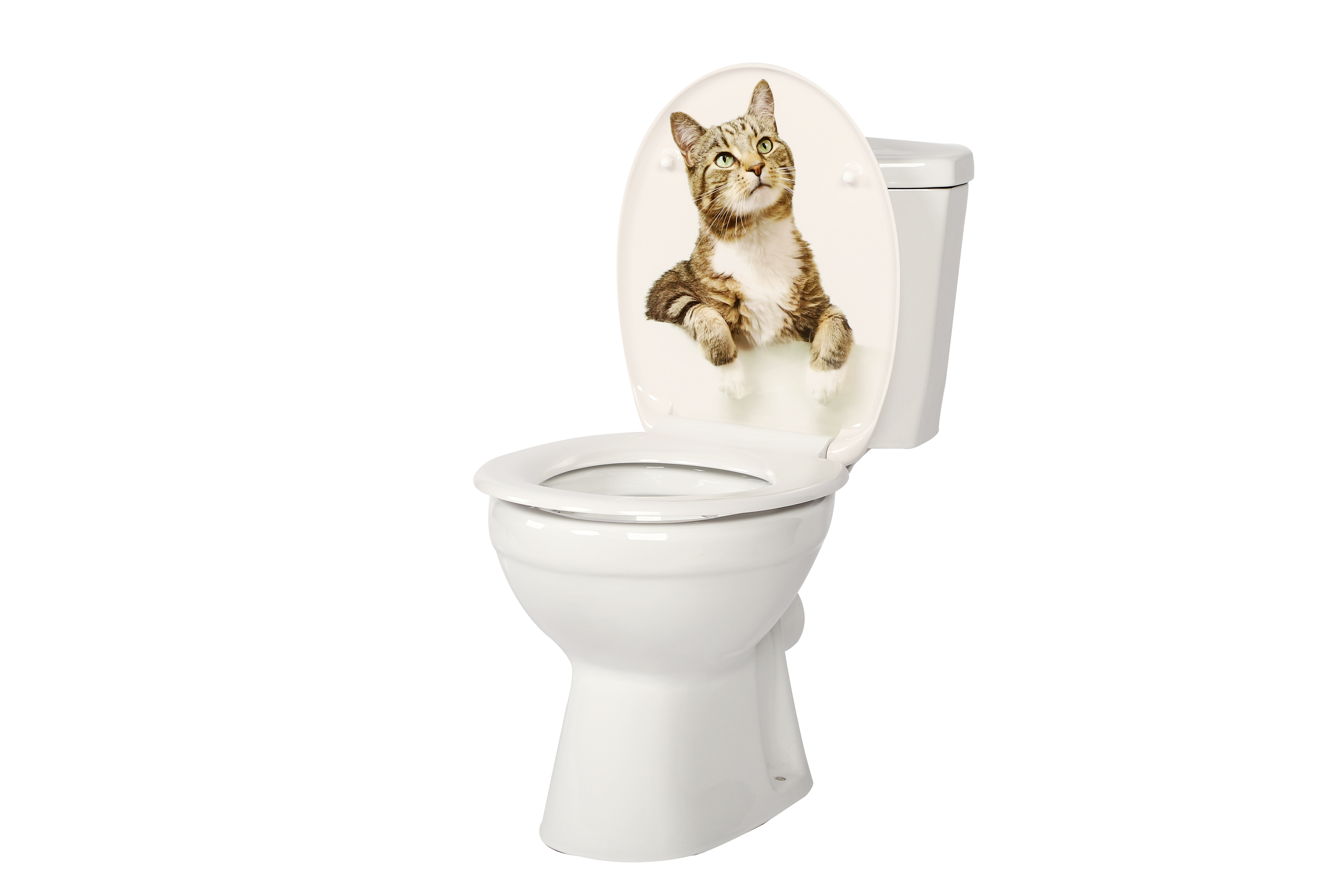 Eine Person misst einen WC-Sitz mit einem Maßband