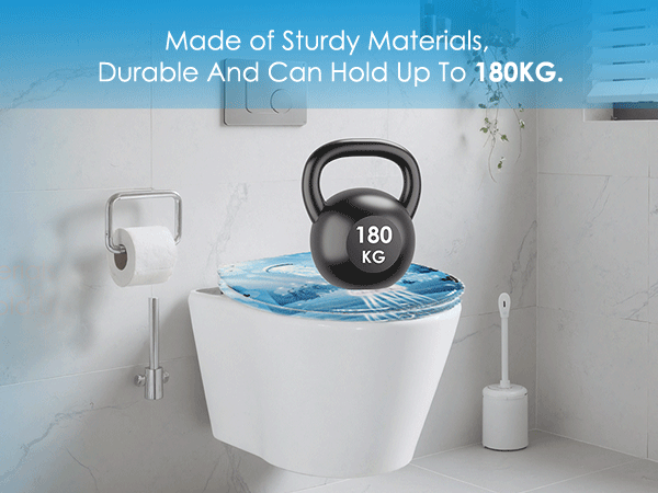 Ein sauberes, modernes Badezimmer mit einem gepflegten WC-Sitz