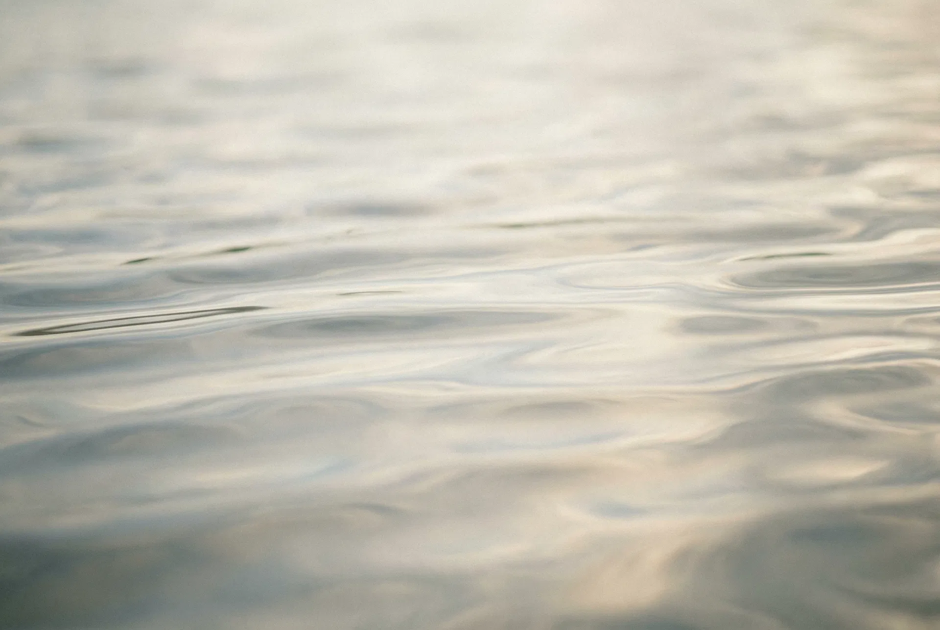 Still water surface with soft ripples, calm and meditative