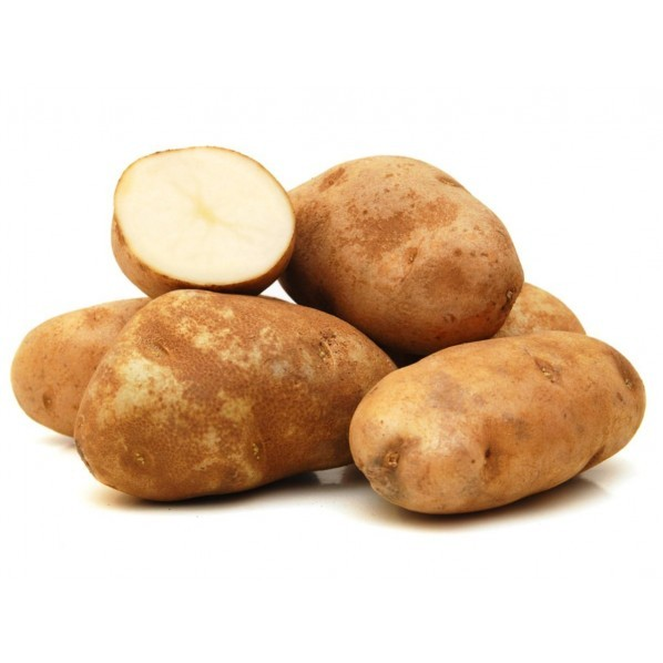 Russet Potato 2