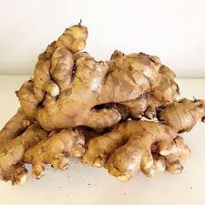 Bentong Ginger Thai 10kg 2
