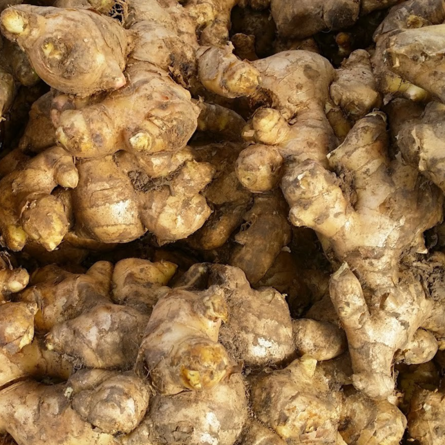 Bentong Ginger Thai 10kg