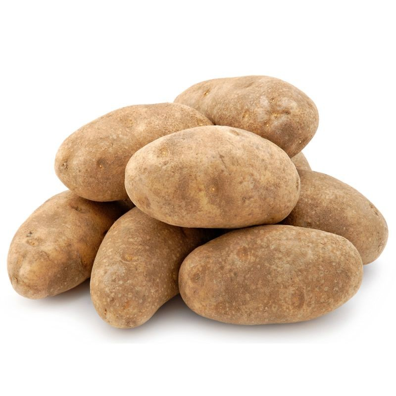 Russet Potato