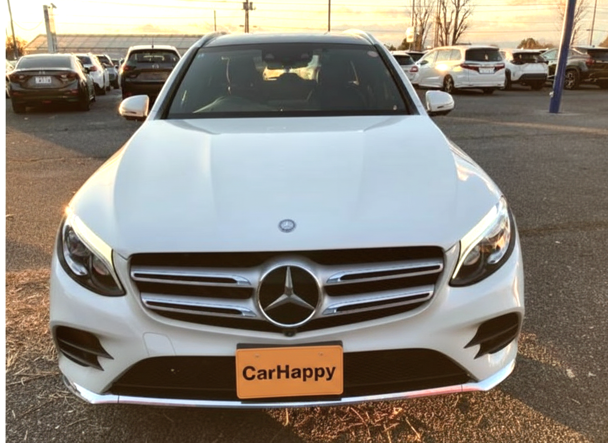 Mercedes-Benz GLC 250 4MATIC Sports (Leather Edition) 2