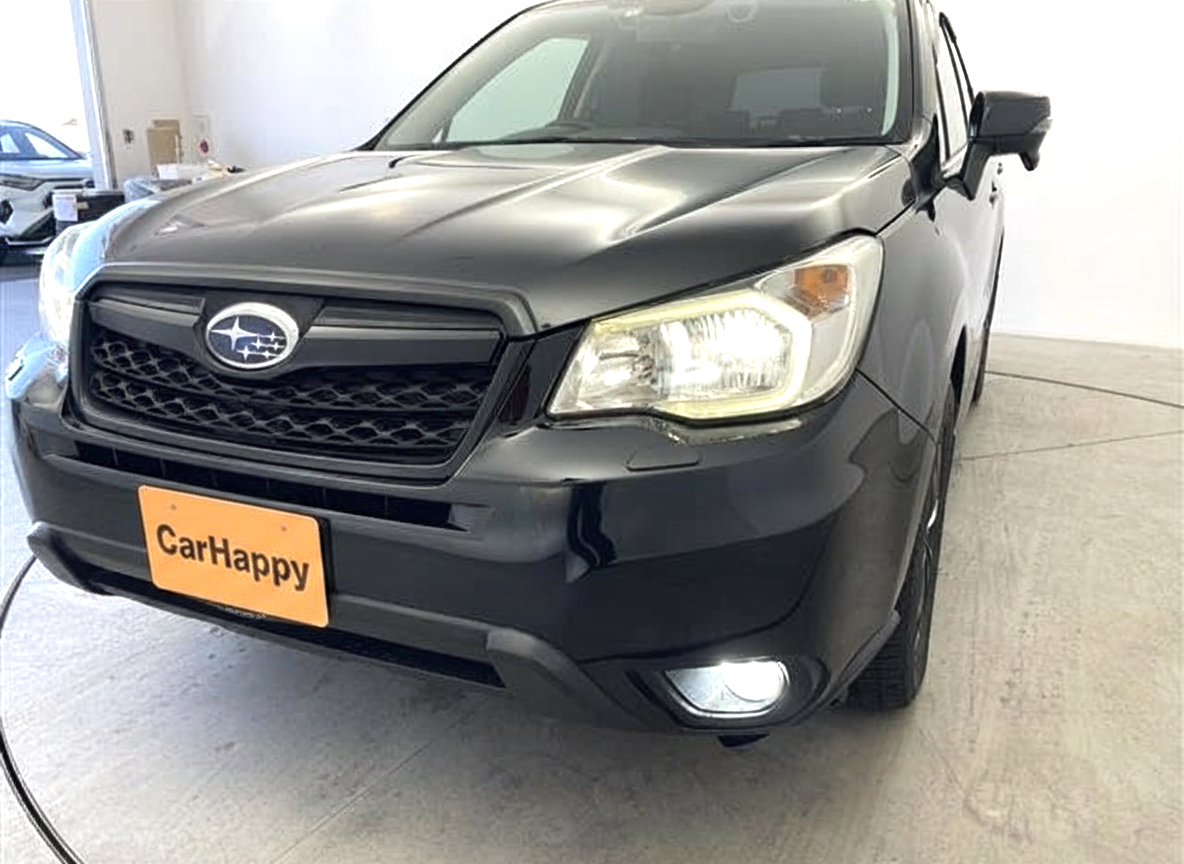 Subaru Forester SJ5 18
