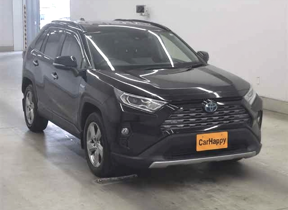 2019 Toyota RAV4 4WD AXAH54