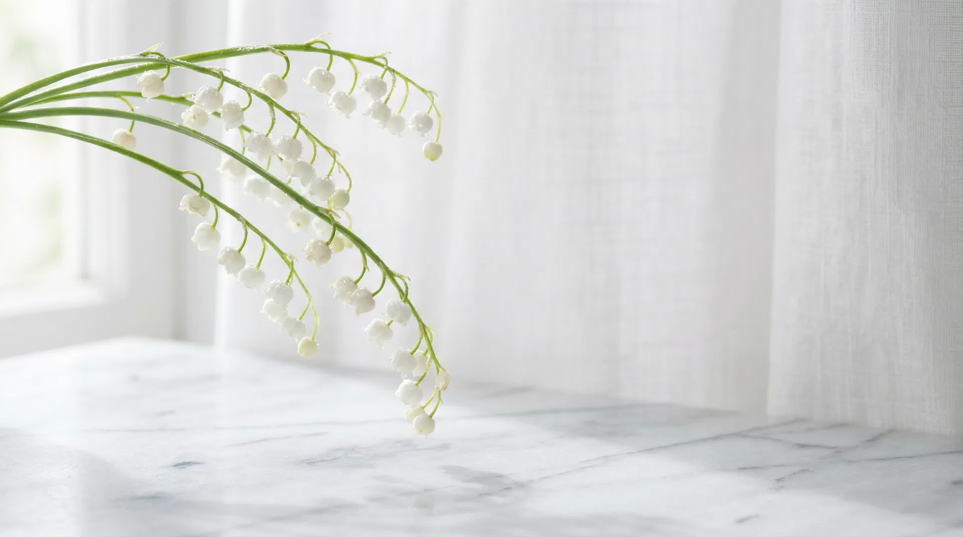The Whisper of Spring: The Timeless Elegance of Lily of the Valley