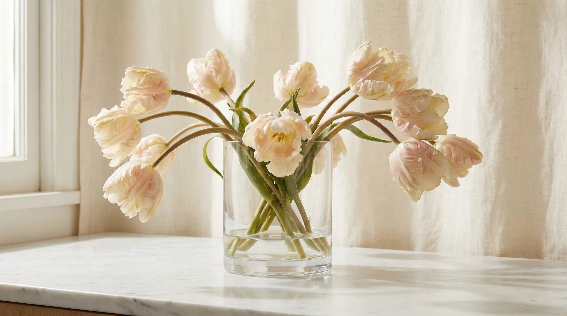 The Tulip: A Symphony of Spring and Silent Elegance