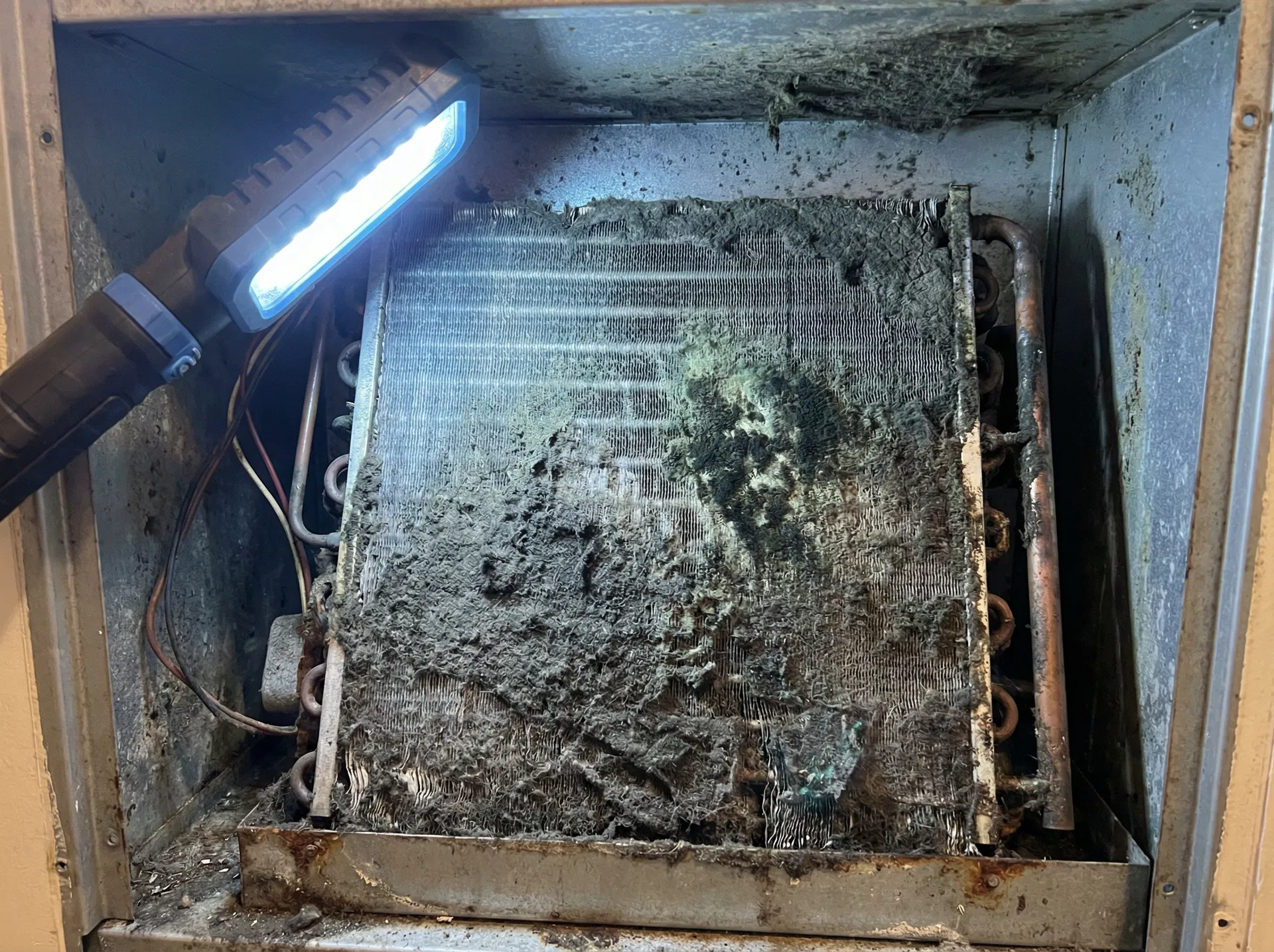 Before - before cleaning