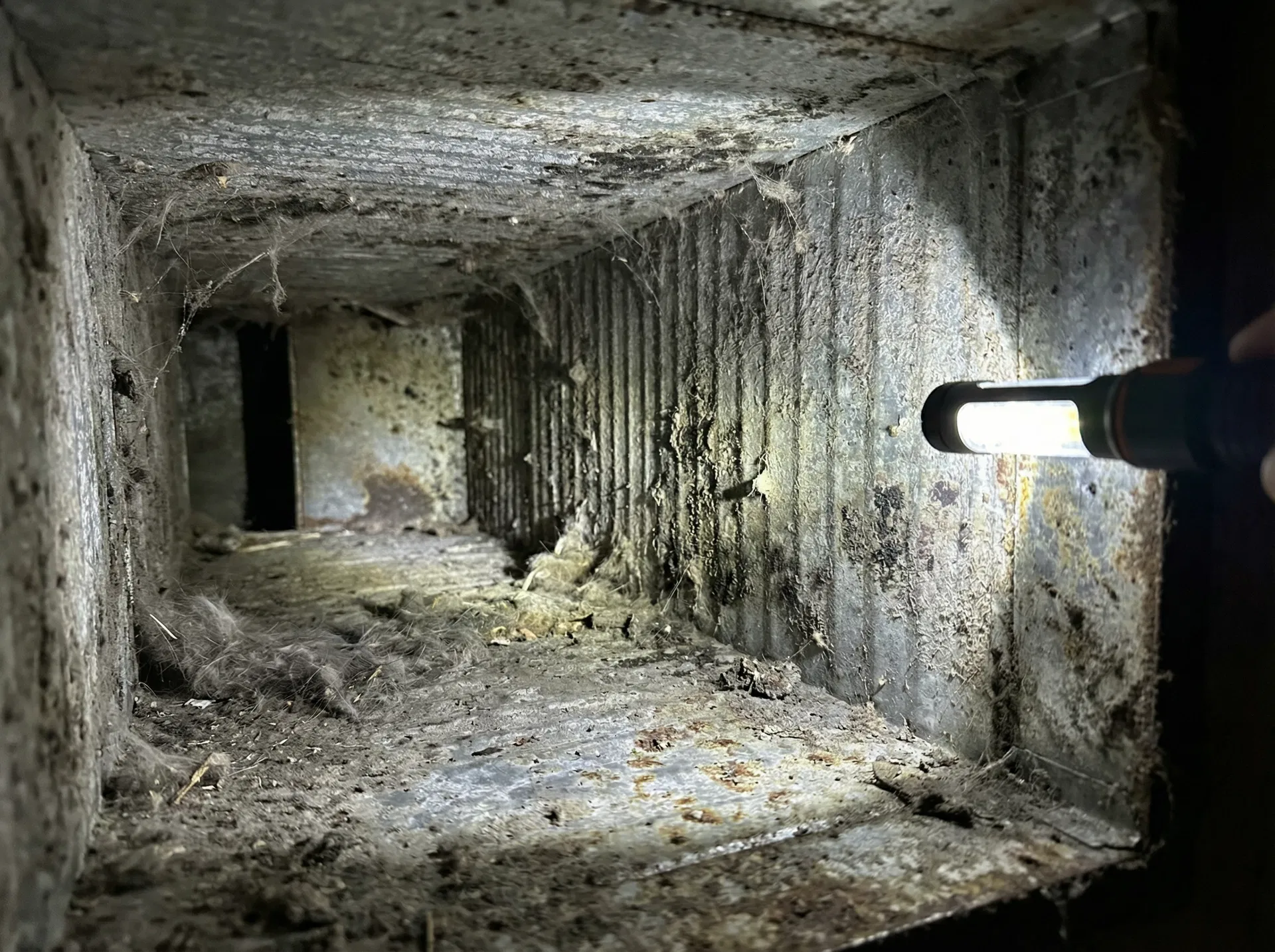 Before - before cleaning