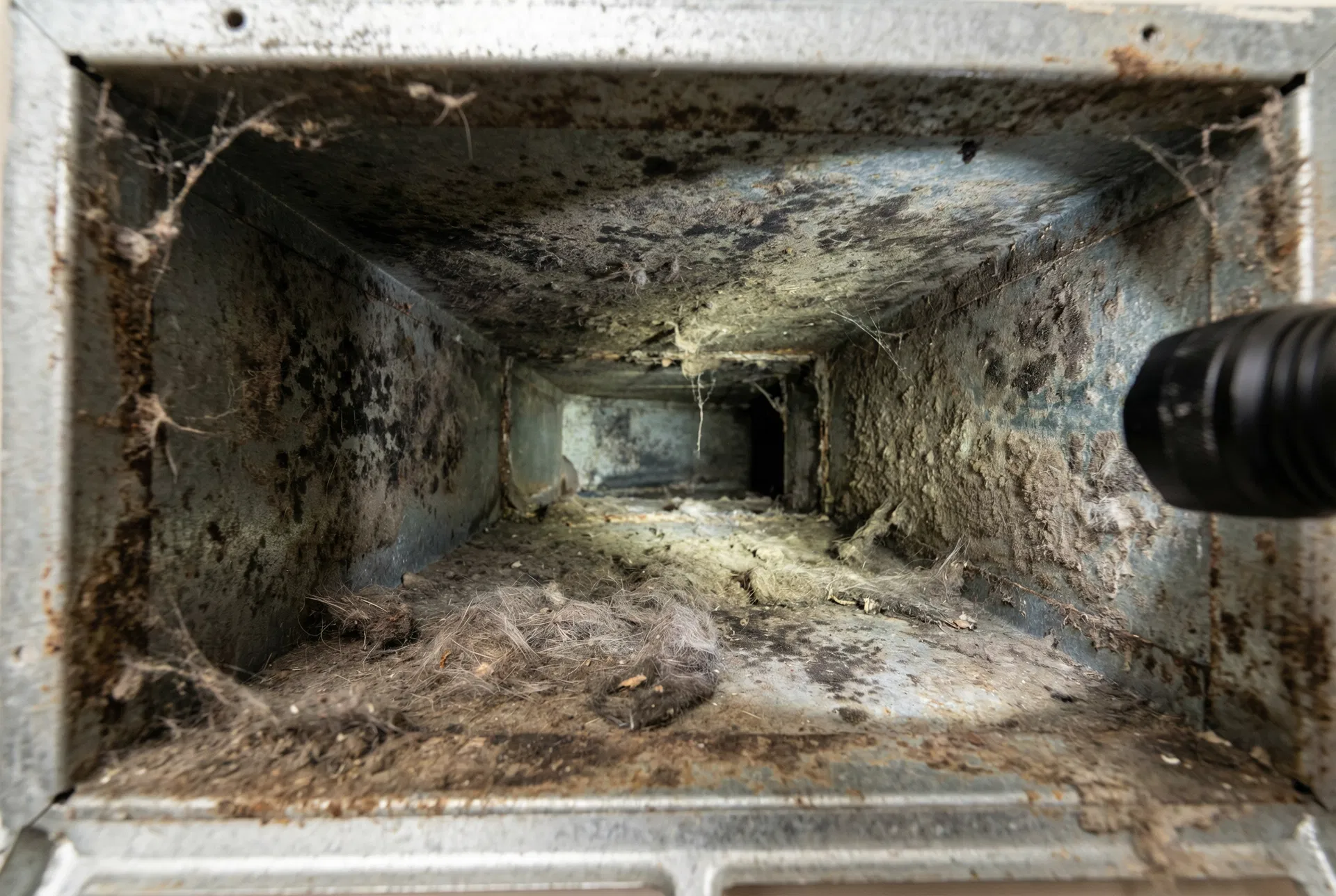 Before - before cleaning