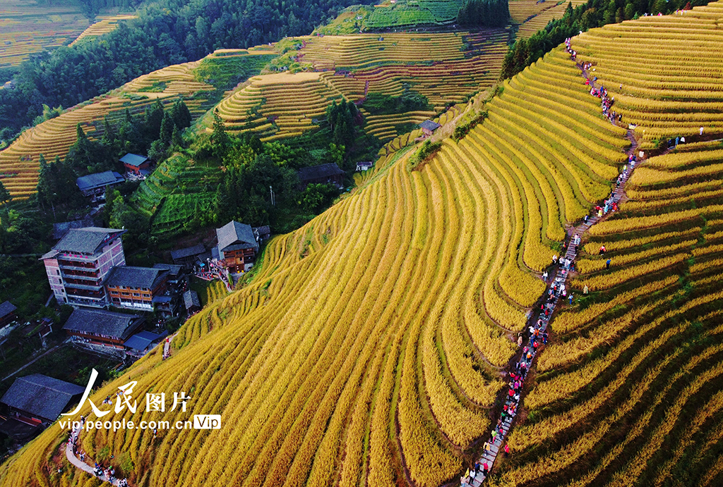 Longji Rice Terraces