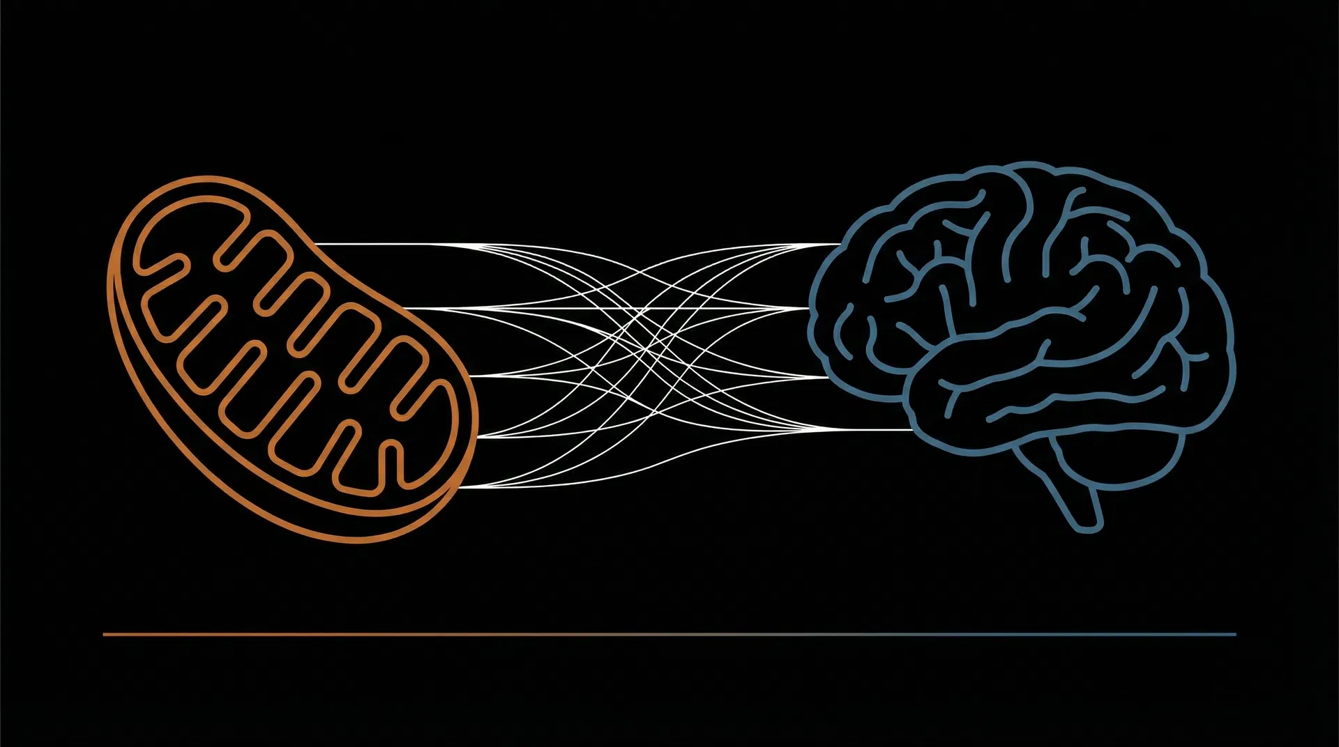 Hardver-Szoftver kapcsolati diagram