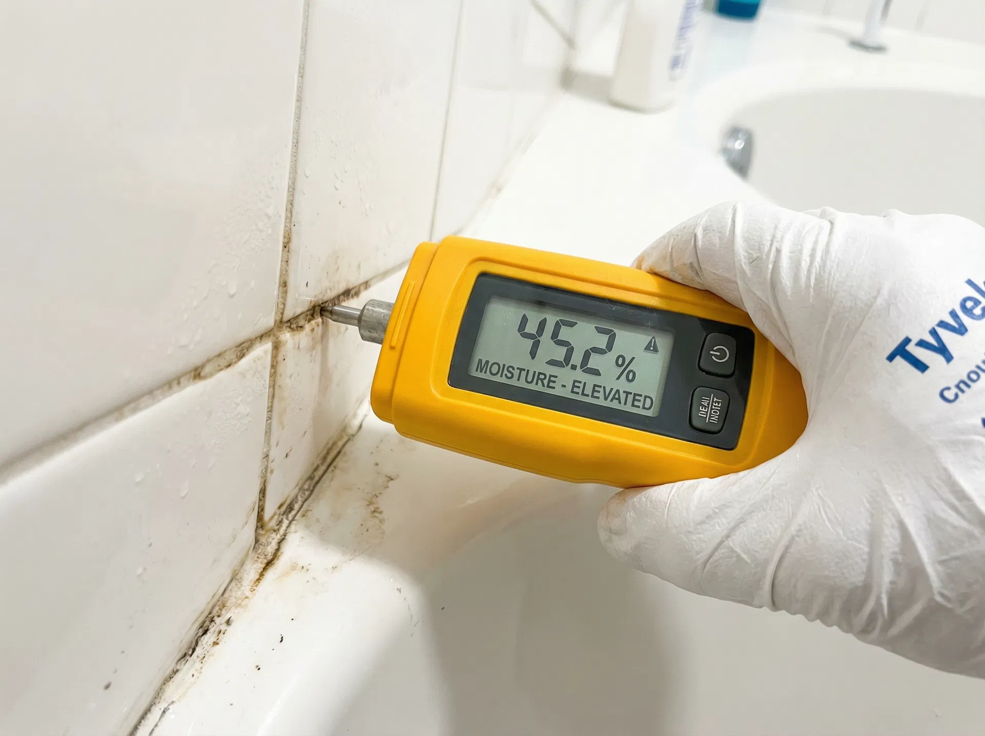 8 Signs Your Florida Home Needs a Mold Inspection Right Now