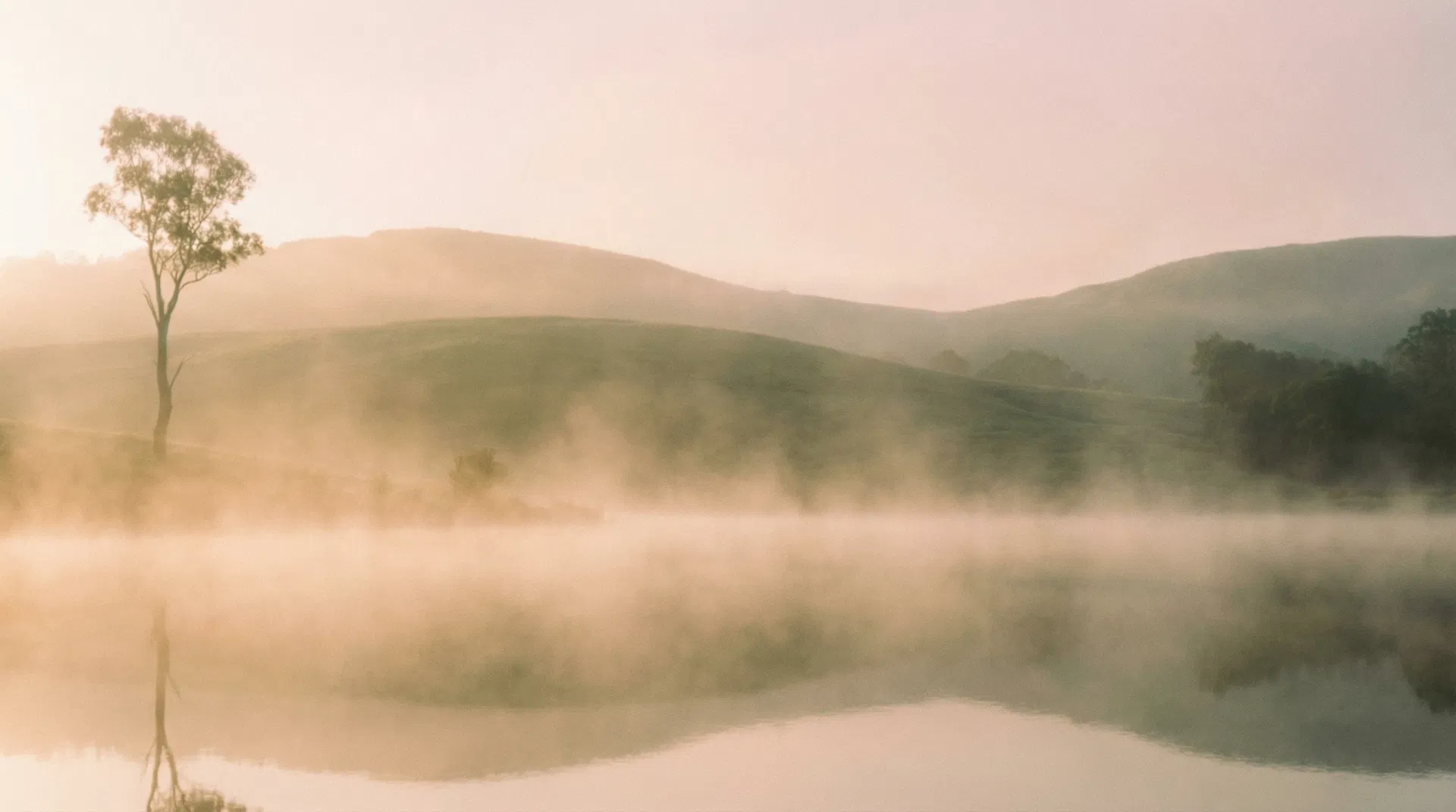 Safe, evidence-based hormone therapy with comprehensive lab monitoring at Alignia Wellness Boca Raton