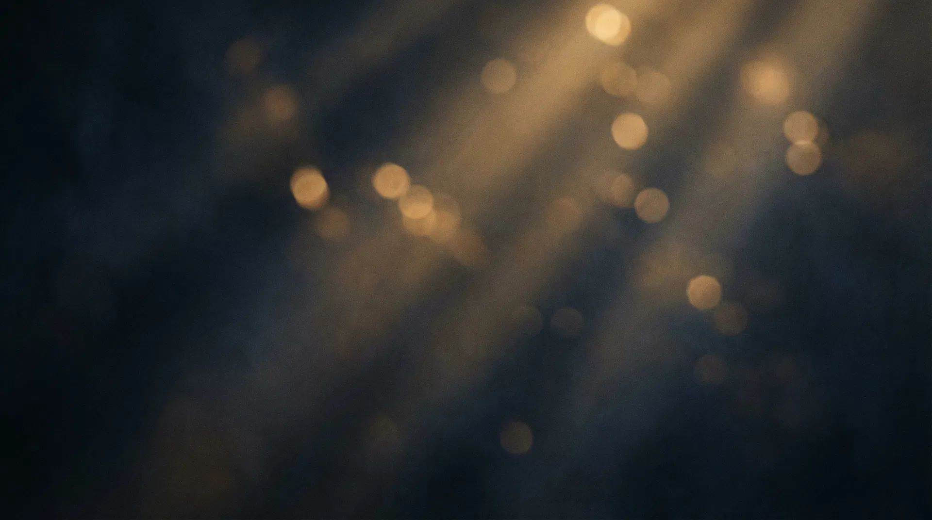 Fundo dourado cinematográfico do portfólio Wender Studio