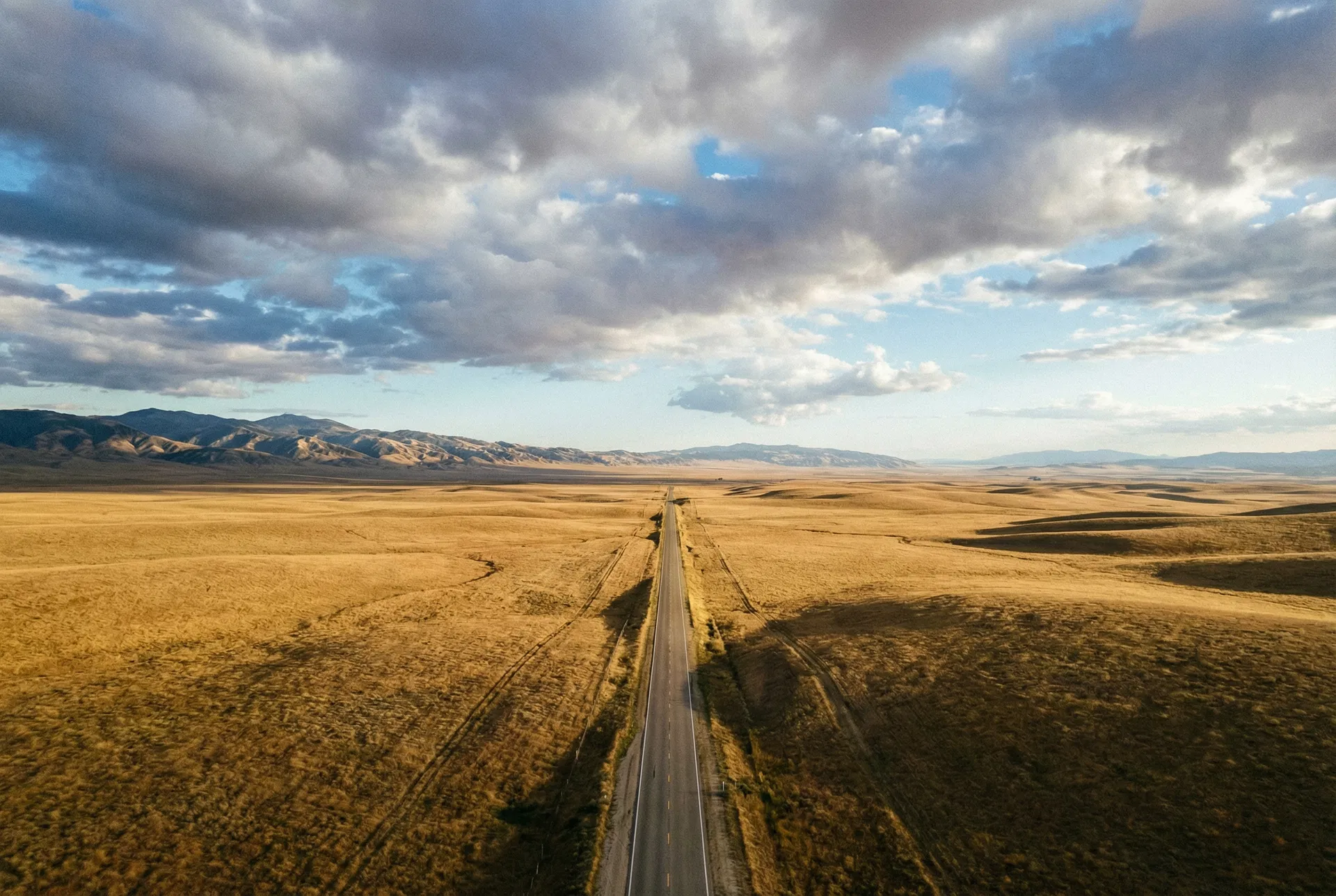 Vast golden grasslands of the Carrizo Plain
